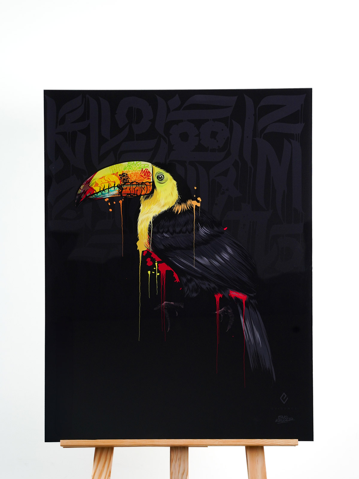 Toucan